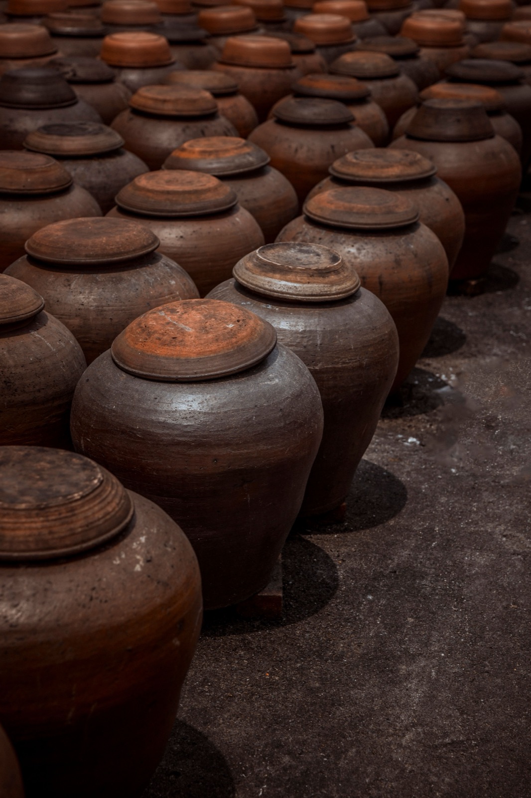 Rows of traditional clay amphorae used for fermenting and ageing wine (illustrative photo, not the Lourensford event itself)